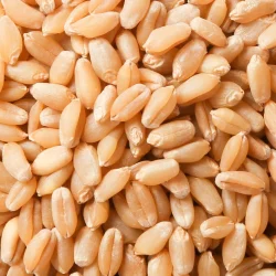 Natural Wheat